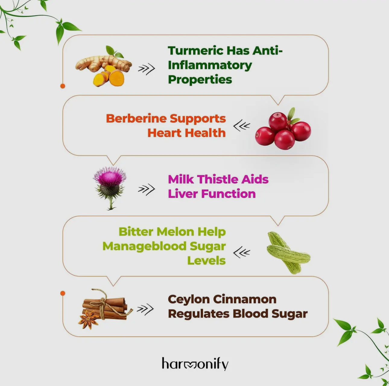 Berberine Complex